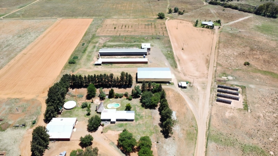 12 Bedroom Property for Sale in Brandfort Free State